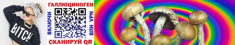 закладка  Жуков  Псилоцибиновые грибы Cubensis 